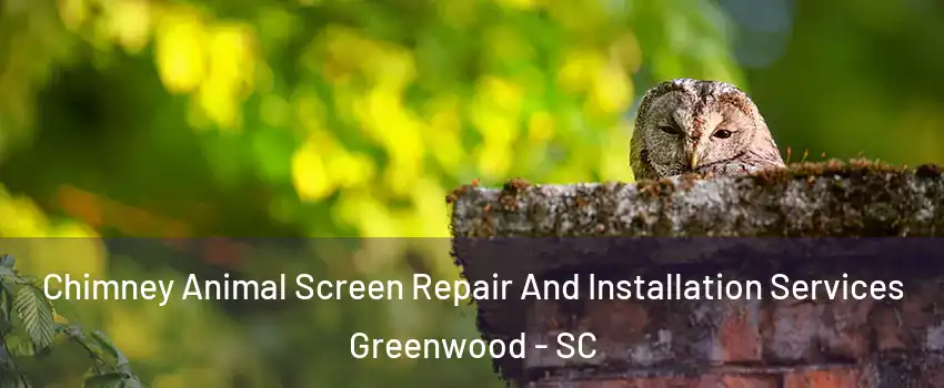  Chimney Animal Screen Repair And Installation Services Greenwood - SC