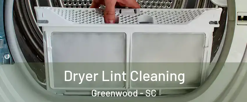  Dryer Lint Cleaning Greenwood - SC