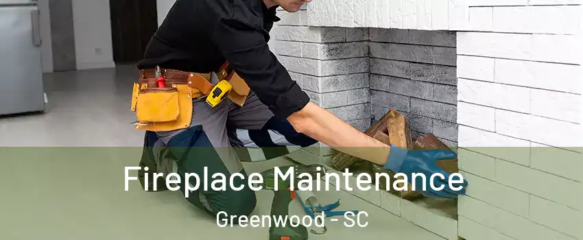  Fireplace Maintenance Greenwood - SC