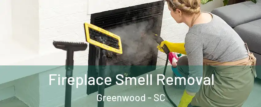  Fireplace Smell Removal Greenwood - SC