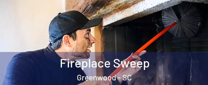  Fireplace Sweep Greenwood - SC