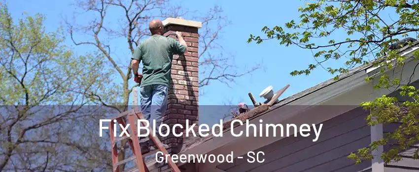  Fix Blocked Chimney Greenwood - SC