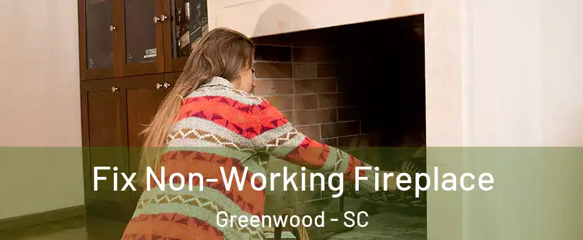  Fix Non-Working Fireplace Greenwood - SC