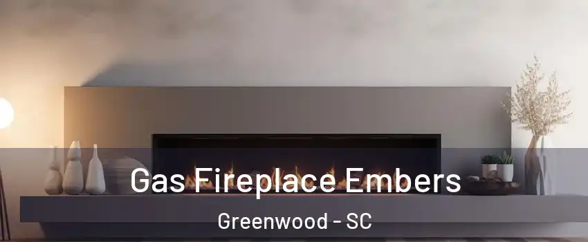  Gas Fireplace Embers Greenwood - SC