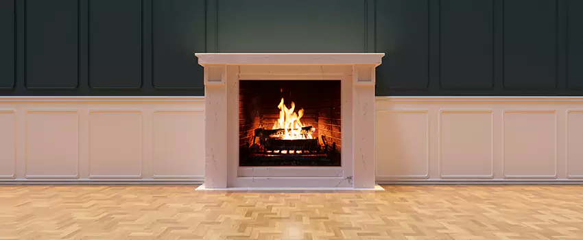 Napoleon Electric Fireplaces Inspection Service in Greenwood, South Carolina