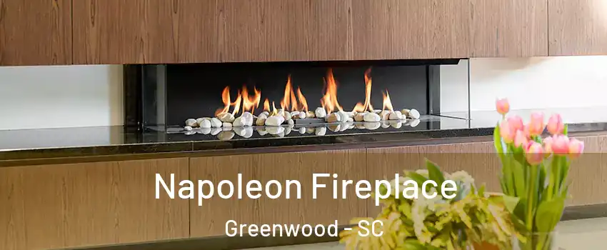  Napoleon Fireplace Greenwood - SC